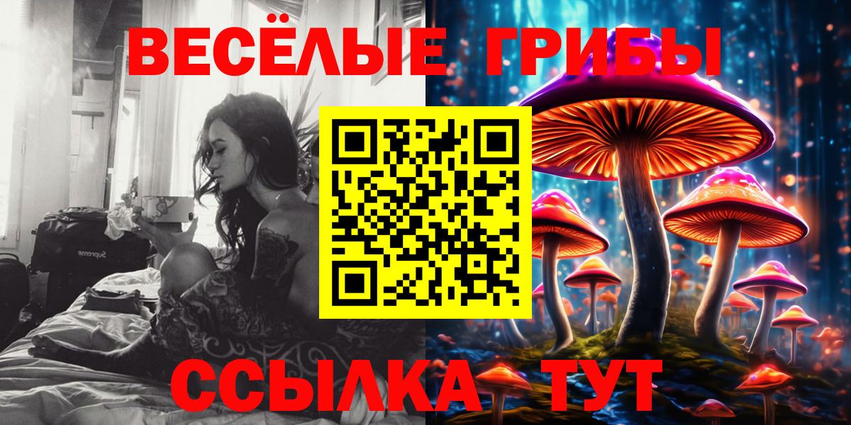 Псилоцибиновые грибы Psilocybe Гатчина