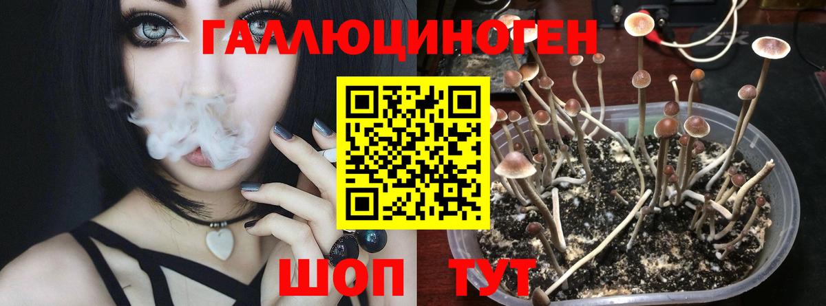 Псилоцибиновые грибы ЛСД  Вход с VPN  Гатчина 